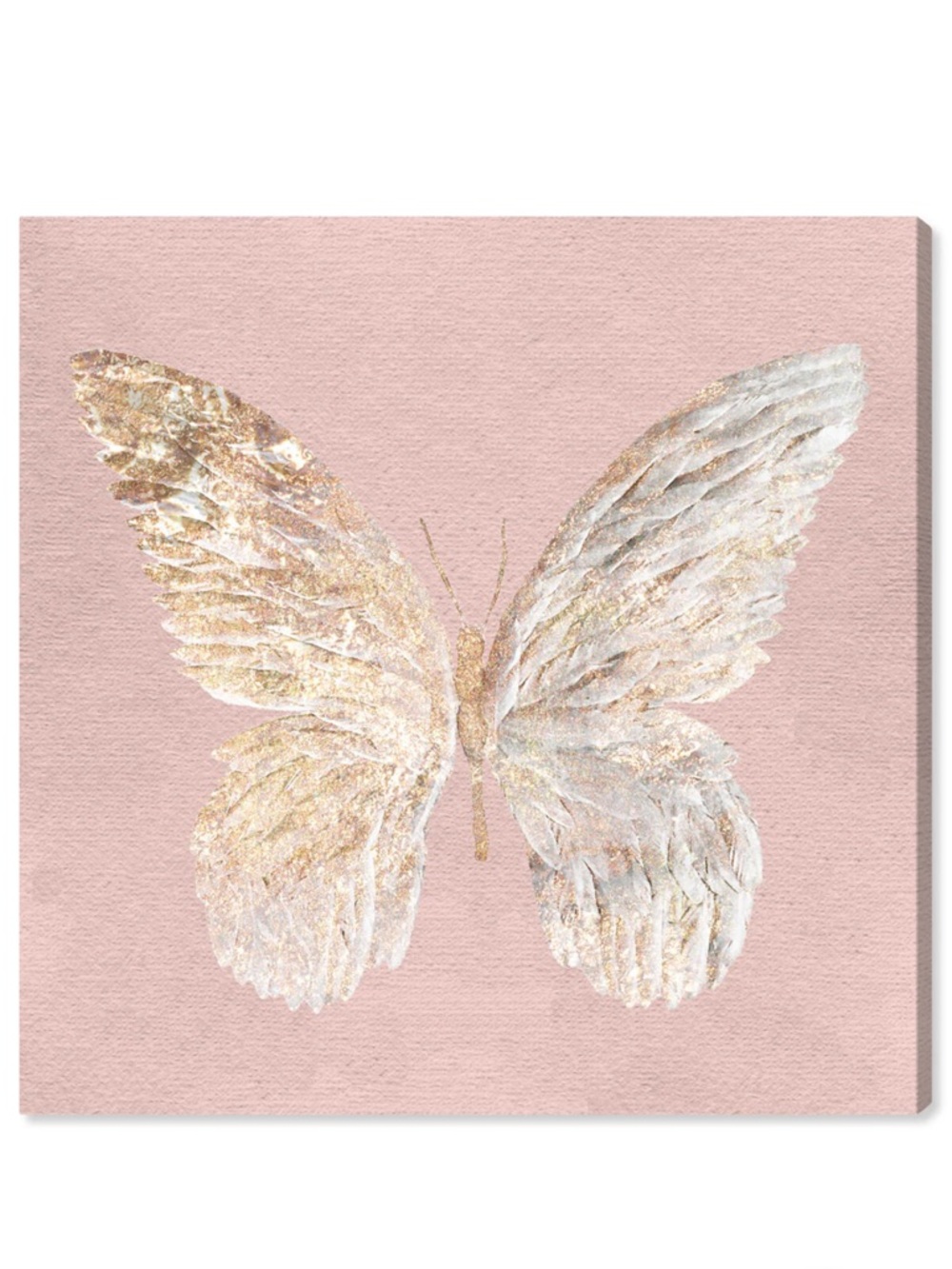 Blush & Gold Butterfly Canvas Art – Neutral Glam Wall Decor | Oliver Gal | 30x30